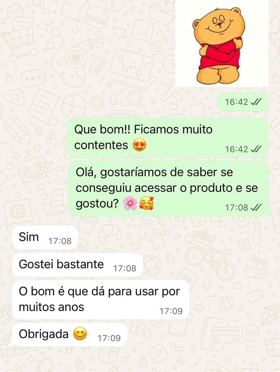 Print de conversa com depoimento de professora satisfeita